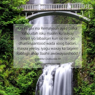 Picture 07 - Taariikhdii Labaad 28:6 SOM - Oo Feqax ina Remalyaah ayaa dalka Yahuudah isku - Bible Verse Picture