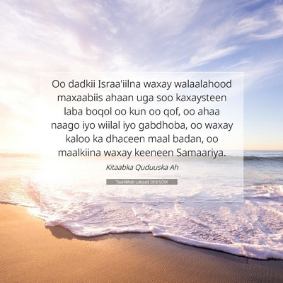 Picture 07 - Taariikhdii Labaad 28:8 SOM - Oo dadkii Israa'iilna waxay walaalahood maxaabiis - Bible Verse Picture