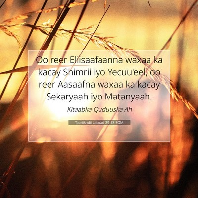 Picture 07 - Taariikhdii Labaad 29:13 SOM - Oo reer Eliisaafaanna waxaa ka kacay Shimrii iyo - Bible Verse Picture