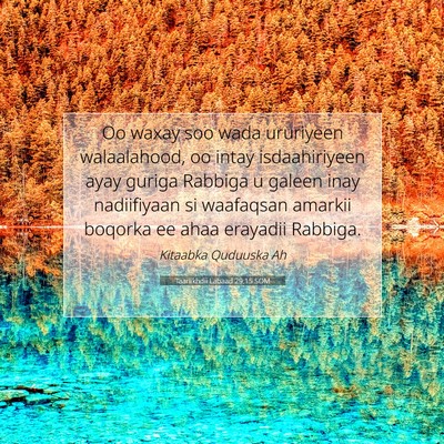 Picture 07 - Taariikhdii Labaad 29:15 SOM - Oo waxay soo wada ururiyeen walaalahood, oo intay - Bible Verse Picture