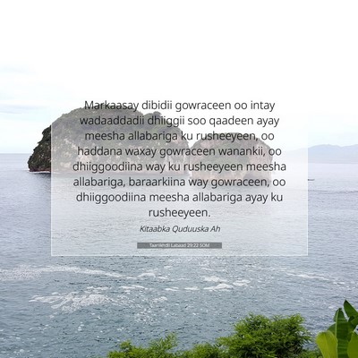Picture 07 - Taariikhdii Labaad 29:22 SOM - Markaasay dibidii gowraceen oo intay wadaaddadii - Bible Verse Picture