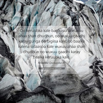 Picture 07 - Taariikhdii Labaad 3:12 SOM - Oo keruubka kale baalkiisuna wuxuu ahaa shan - Bible Verse Picture