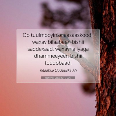 Picture 07 - Taariikhdii Labaad 31:7 SOM - Oo tuulmooyinka aasaaskoodii waxay bilaabeen - Bible Verse Picture