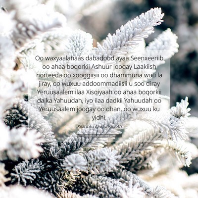 Picture 07 - Taariikhdii Labaad 32:9 SOM - Oo waxyaalahaas dabadood ayaa Seenxeeriib oo ahaa - Bible Verse Picture