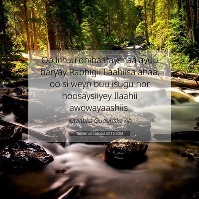 Picture 07 - Taariikhdii Labaad 33:12 SOM - Oo intuu dhibaataysnaa ayuu baryay Rabbigii - Bible Verse Picture