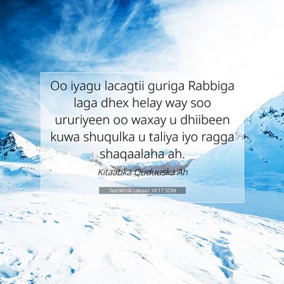 Picture 07 - Taariikhdii Labaad 34:17 SOM - Oo iyagu lacagtii guriga Rabbiga laga dhex helay - Bible Verse Picture