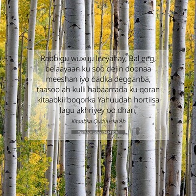 Picture 07 - Taariikhdii Labaad 34:24 SOM - Rabbigu wuxuu leeyahay, Bal eeg, belaayaan ku soo - Bible Verse Picture