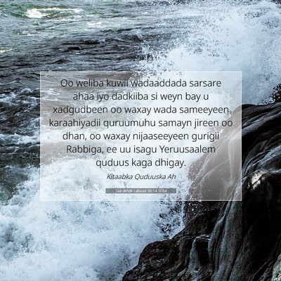Picture 07 - Taariikhdii Labaad 36:14 SOM - Oo weliba kuwii wadaaddada sarsare ahaa iyo - Bible Verse Picture