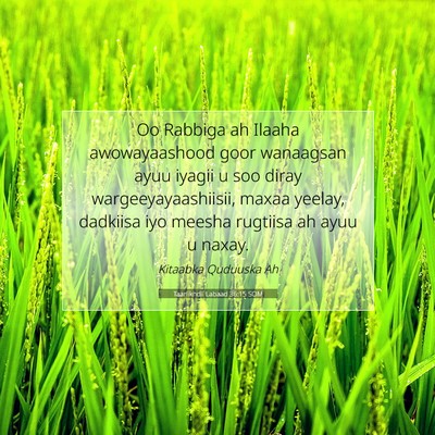 Picture 07 - Taariikhdii Labaad 36:15 SOM - Oo Rabbiga ah Ilaaha awowayaashood goor wanaagsan - Bible Verse Picture