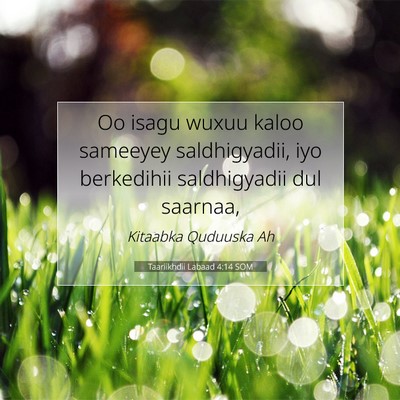Picture 07 - Taariikhdii Labaad 4:14 SOM - Oo isagu wuxuu kaloo sameeyey saldhigyadii, iyo - Bible Verse Picture
