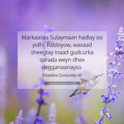 Picture 07 - Taariikhdii Labaad 6:1 SOM - Markaasaa Sulaymaan hadlay oo yidhi, Rabbiyow, - Bible Verse Picture