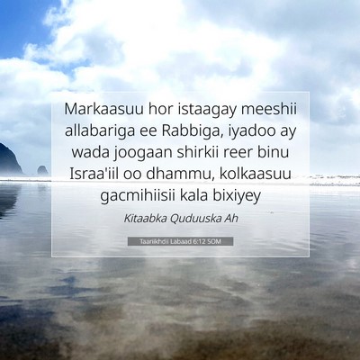 Picture 07 - Taariikhdii Labaad 6:12 SOM - Markaasuu hor istaagay meeshii allabariga ee - Bible Verse Picture