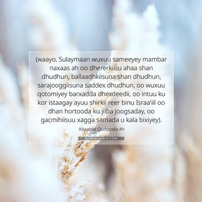 Picture 07 - Taariikhdii Labaad 6:13 SOM - (waayo, Sulaymaan wuxuu sameeyey mambar naxaas ah - Bible Verse Picture