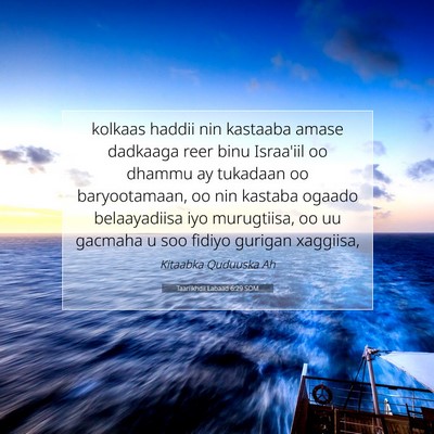 Picture 07 - Taariikhdii Labaad 6:29 SOM - kolkaas haddii nin kastaaba amase dadkaaga reer - Bible Verse Picture