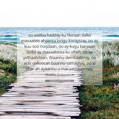 Picture 07 - Taariikhdii Labaad 6:37 SOM - oo weliba hadday ku fikiraan dalkii maxaabiis - Bible Verse Picture