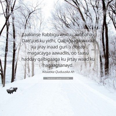 Picture 07 - Taariikhdii Labaad 6:8 SOM - Laakiinse Rabbigu wuxuu aabbahay Daa'uud ku - Bible Verse Picture