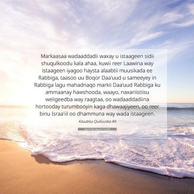 Picture 07 - Taariikhdii Labaad 7:6 SOM - Markaasaa wadaaddadii waxay u istaageen sidii - Bible Verse Picture