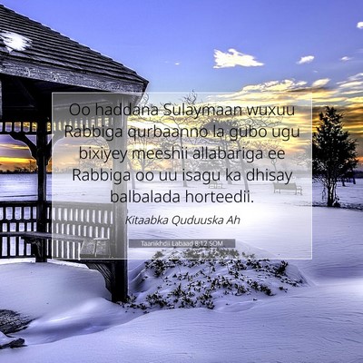 Picture 07 - Taariikhdii Labaad 8:12 SOM - Oo haddana Sulaymaan wuxuu Rabbiga qurbaanno la - Bible Verse Picture