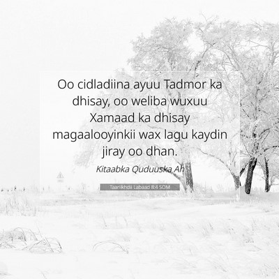 Picture 07 - Taariikhdii Labaad 8:4 SOM - Oo cidladiina ayuu Tadmor ka dhisay, oo weliba - Bible Verse Picture