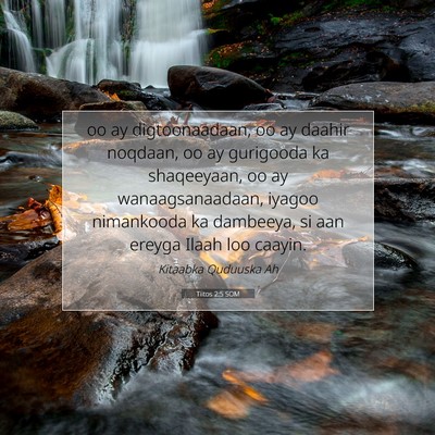 Picture 07 - Tiitos 2:5 SOM - oo ay digtoonaadaan, oo ay daahir noqdaan, oo ay - Bible Verse Picture
