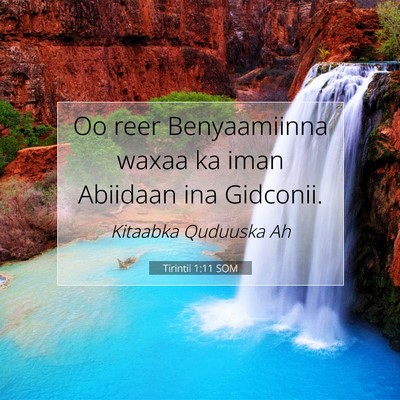 Picture 07 - Tirintii 1:11 SOM - Oo reer Benyaamiinna waxaa ka iman Abiidaan ina - Bible Verse Picture
