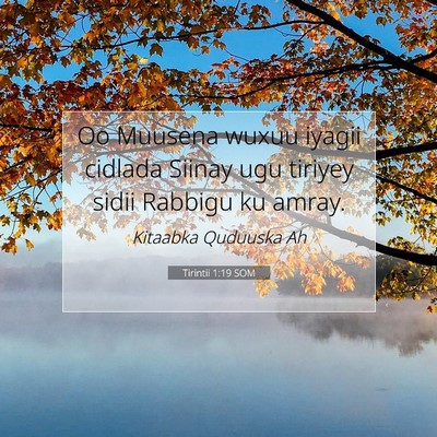 Picture 07 - Tirintii 1:19 SOM - Oo Muusena wuxuu iyagii cidlada Siinay ugu - Bible Verse Picture