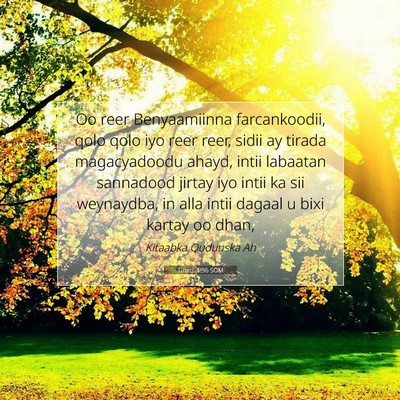 Picture 07 - Tirintii 1:36 SOM - Oo reer Benyaamiinna farcankoodii, qolo qolo iyo - Bible Verse Picture