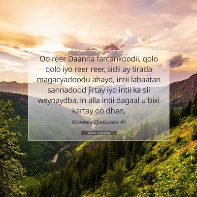 Picture 07 - Tirintii 1:38 SOM - Oo reer Daanna farcankoodii, qolo qolo iyo reer - Bible Verse Picture