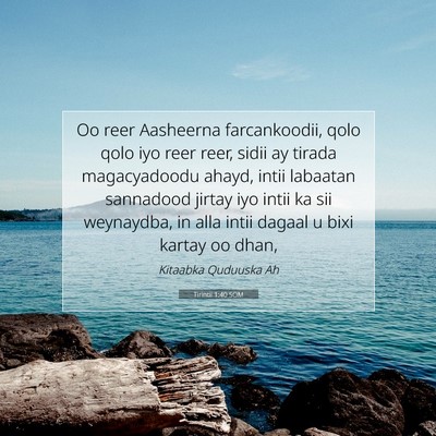 Picture 07 - Tirintii 1:40 SOM - Oo reer Aasheerna farcankoodii, qolo qolo iyo - Bible Verse Picture