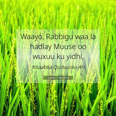 Picture 07 - Tirintii 1:48 SOM - Waayo, Rabbigu waa la hadlay Muuse oo wuxuu ku - Bible Verse Picture
