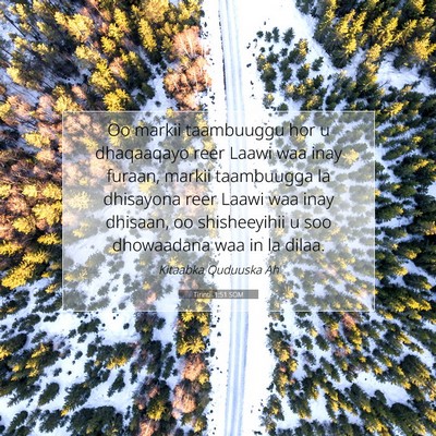 Picture 07 - Tirintii 1:51 SOM - Oo markii taambuuggu hor u dhaqaaqayo reer Laawi - Bible Verse Picture