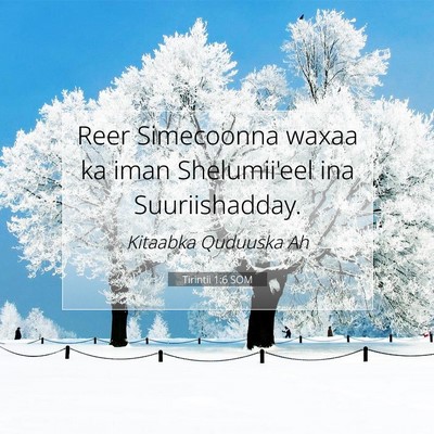 Picture 07 - Tirintii 1:6 SOM - Reer Simecoonna waxaa ka iman Shelumii'eel ina - Bible Verse Picture