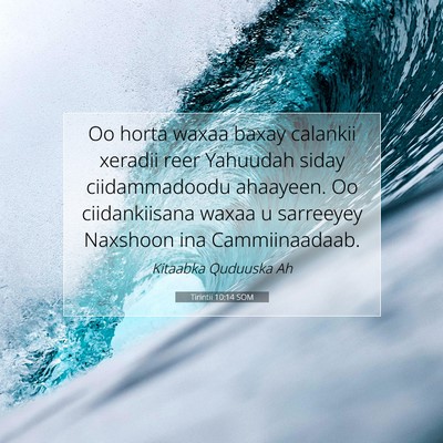 Picture 07 - Tirintii 10:14 SOM - Oo horta waxaa baxay calankii xeradii reer - Bible Verse Picture