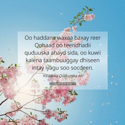 Picture 07 - Tirintii 10:21 SOM - Oo haddana waxaa baxay reer Qohaad oo teendhadii - Bible Verse Picture
