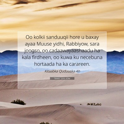 Picture 07 - Tirintii 10:35 SOM - Oo kolkii sanduuqii hore u baxay ayaa Muuse - Bible Verse Picture