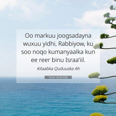 Picture 07 - Tirintii 10:36 SOM - Oo markuu joogsadayna wuxuu yidhi, Rabbiyow, ku - Bible Verse Picture