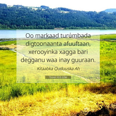 Picture 07 - Tirintii 10:5 SOM - Oo markaad turumbada digtoonaanta afuuftaan, - Bible Verse Picture