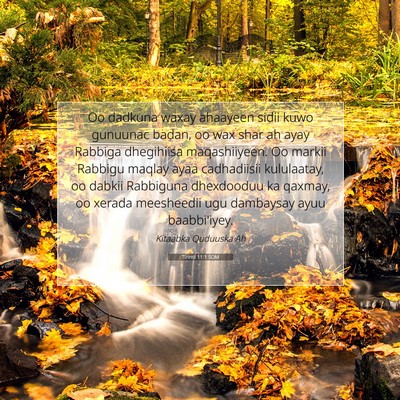 Picture 07 - Tirintii 11:1 SOM - Oo dadkuna waxay ahaayeen sidii kuwo gunuunac - Bible Verse Picture
