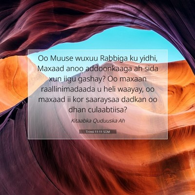 Picture 07 - Tirintii 11:11 SOM - Oo Muuse wuxuu Rabbiga ku yidhi, Maxaad anoo - Bible Verse Picture