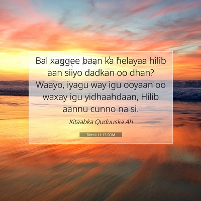 Picture 07 - Tirintii 11:13 SOM - Bal xaggee baan ka helayaa hilib aan siiyo dadkan - Bible Verse Picture