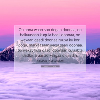 Picture 07 - Tirintii 11:17 SOM - Oo anna waan soo degan doonaa, oo halkaasaan - Bible Verse Picture