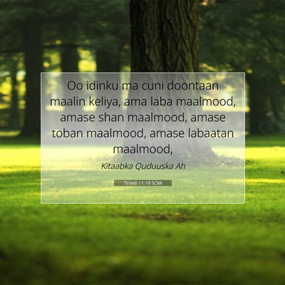 Picture 07 - Tirintii 11:19 SOM - Oo idinku ma cuni doontaan maalin keliya, ama - Bible Verse Picture