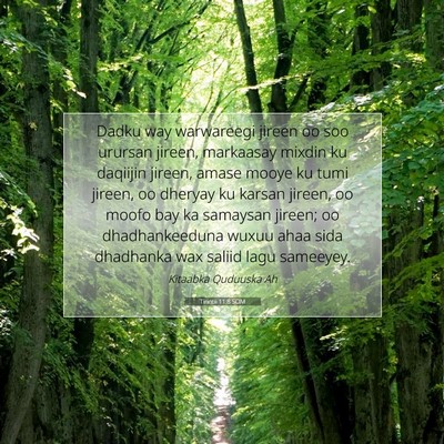 Picture 07 - Tirintii 11:8 SOM - Dadku way warwareegi jireen oo soo urursan - Bible Verse Picture