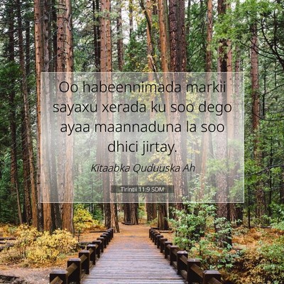 Picture 07 - Tirintii 11:9 SOM - Oo habeennimada markii sayaxu xerada ku soo dego - Bible Verse Picture
