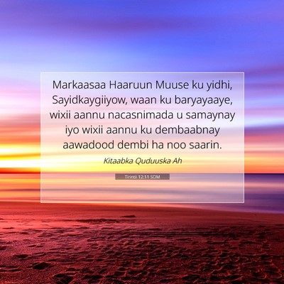 Picture 07 - Tirintii 12:11 SOM - Markaasaa Haaruun Muuse ku yidhi, Sayidkaygiiyow, - Bible Verse Picture