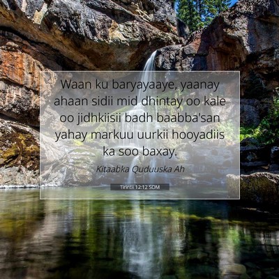 Picture 07 - Tirintii 12:12 SOM - Waan ku baryayaaye, yaanay ahaan sidii mid - Bible Verse Picture
