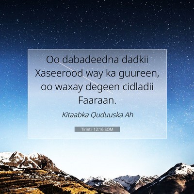 Picture 07 - Tirintii 12:16 SOM - Oo dabadeedna dadkii Xaseerood way ka guureen, oo - Bible Verse Picture