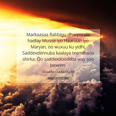 Picture 07 - Tirintii 12:4 SOM - Markaasaa Rabbigu dhaqso ula hadlay Muuse iyo - Bible Verse Picture