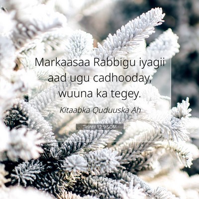 Picture 07 - Tirintii 12:9 SOM - Markaasaa Rabbigu iyagii aad ugu cadhooday, wuuna - Bible Verse Picture