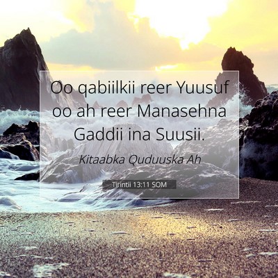 Picture 07 - Tirintii 13:11 SOM - Oo qabiilkii reer Yuusuf oo ah reer Manasehna - Bible Verse Picture